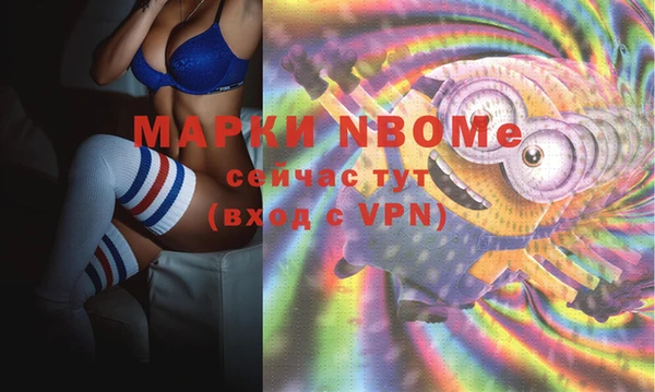 стаф Верхний Тагил