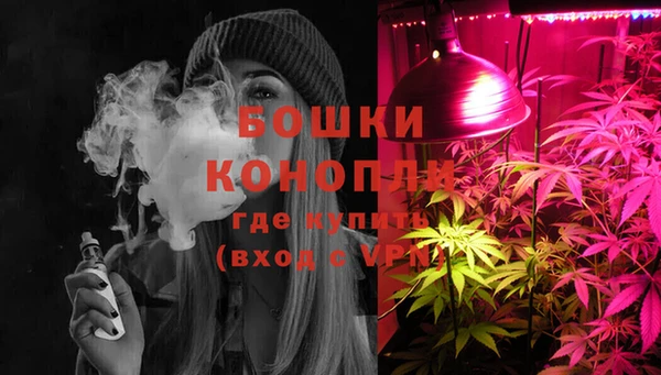 стаф Верхний Тагил