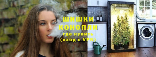 стаф Верхний Тагил