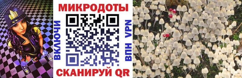 Псилоцибиновые грибы Magic Shrooms  Кострома 