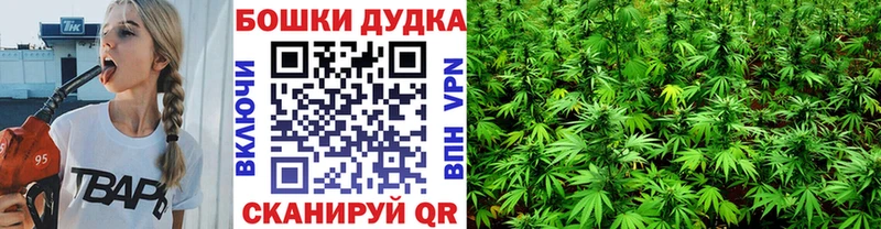 купить   Кострома  Бошки марихуана Amnesia 